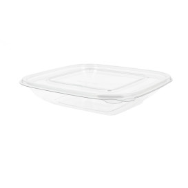 Plastové Misky PET 750ml 190x190x40mm (50 Kousky)