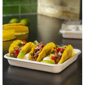 Kontejner na Cukrová Třtina pro Tacos Bílý 18,5x18,5cm (50 Ks)