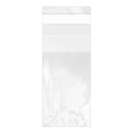 Tašky s Plastové Bio s Oknem Samolepící 4x6 cm G-160 (1000 Ks)