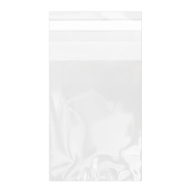 Tašky s Plastové Bio s Oknem Samolepící 7x10 cm G-160 (1000 Ks)